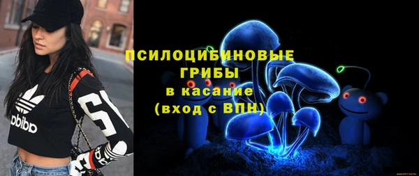 дживик Арсеньев