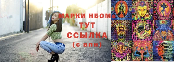 дмт Аркадак