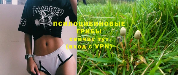 прущий лед Армянск